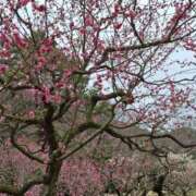 ますみ こんばんは⭐️ 出会い系人妻ネットワーク錦糸町～小岩編