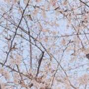 ヒメ日記 2026/03/23 11:47 投稿 ますみ 出会い系人妻ネットワーク錦糸町～小岩編