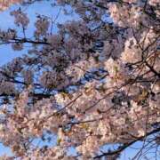 ヒメ日記 2026/04/03 17:42 投稿 ますみ 出会い系人妻ネットワーク錦糸町～小岩編