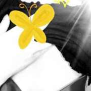 ヒメ日記 2025/06/11 20:50 投稿 しずな Ｓ＆Ｍ　極嬢