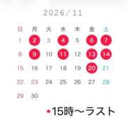 あんず 11月20日までの出勤🗓️ ビギナーズ神戸