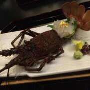 ヒメ日記 2025/12/03 01:15 投稿 ゆづき おいらん遊郭