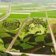 ヒメ日記 2026/02/09 15:35 投稿 ゆづき おいらん遊郭