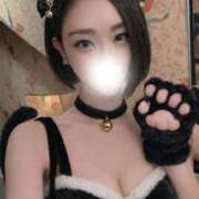 星乃じゅり にゃんにゃんの日🐈‍⬛🐾 Claris Tokyo～クラリス東京～