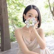 ヒメ日記 2026/08/24 08:06 投稿 星乃じゅり Claris Tokyo～クラリス東京～