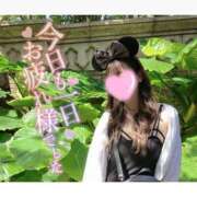 ヒメ日記 2025/05/31 00:10 投稿 ななみ★高身長モデル系絶世美女 Bell～S級美女お姉様・人妻デリヘル～