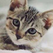 早川 本日出勤します 昼顔妻 五反田店