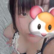 ヒメ日記 2025/05/03 17:45 投稿 のあ 八尾藤井寺羽曳野ちゃんこ