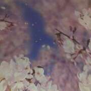 ヒメ日記 2025/05/07 09:25 投稿 いのり 池袋デリヘル倶楽部