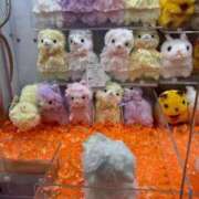 ヒメ日記 2025/05/28 12:25 投稿 いのり 池袋デリヘル倶楽部