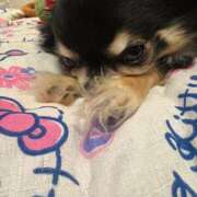 れん 明日出勤！！ 池袋ぱんぷきん（シンデレラグループ）