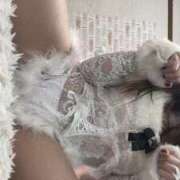 ヒメ日記 2025/07/18 13:30 投稿 みる にゃんだ☆full☆MIX（にゃんだふるみっくす）