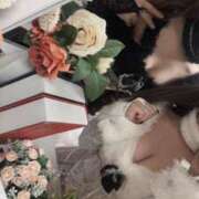 ヒメ日記 2025/08/30 12:01 投稿 みる にゃんだ☆full☆MIX（にゃんだふるみっくす）