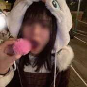 ヒメ日記 2025/12/18 23:52 投稿 ぴの 池袋コスプレサンシャイン（シンデレラグループ）