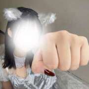 ヒメ日記 2025/12/23 23:26 投稿 ぴの 池袋コスプレサンシャイン（シンデレラグループ）