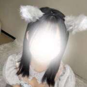 ヒメ日記 2025/12/27 10:01 投稿 ぴの 池袋コスプレサンシャイン（シンデレラグループ）