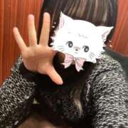 ぴの ごめんね? 池袋コスプレサンシャイン（シンデレラグループ）