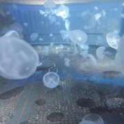 ヒメ日記 2026/03/03 17:30 投稿 かずは（極上SPコース対応） EIGHT（エイト）～8つのお約束と無限の可能性～