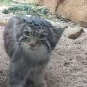 ヒメ日記 2025/08/01 17:39 投稿 黒木　あおい YOKOHAMA FIVESTAR（横浜ファイブスター）