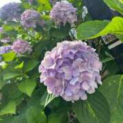 ヒメ日記 2025/05/06 09:10 投稿 かほ 梅田アバンチュール