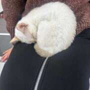 ヒメ日記 2025/05/09 23:36 投稿 かほ 梅田アバンチュール