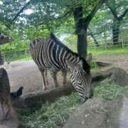 ヒメ日記 2025/05/13 10:18 投稿 かほ 梅田アバンチュール