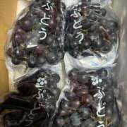 ヒメ日記 2025/09/24 10:18 投稿 かほ 梅田アバンチュール