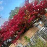 ヒメ日記 2025/11/19 10:38 投稿 かほ 梅田アバンチュール