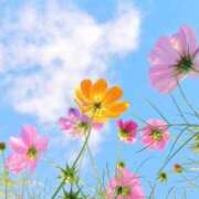 ヒメ日記 2025/11/23 10:22 投稿 かほ 梅田アバンチュール