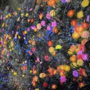 ヒメ日記 2026/01/27 18:42 投稿 かほ 梅田アバンチュール