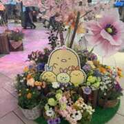 ヒメ日記 2026/03/29 10:31 投稿 かほ 梅田アバンチュール