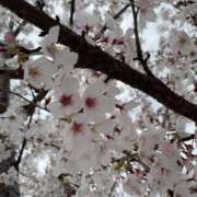 ヒメ日記 2026/03/31 10:32 投稿 かほ 梅田アバンチュール