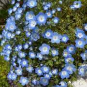 ヒメ日記 2026/04/08 09:43 投稿 かほ 梅田アバンチュール