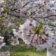 ヒメ日記 2026/04/12 10:12 投稿 かほ 梅田アバンチュール