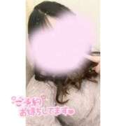 ヒメ日記 2026/04/05 14:11 投稿 ここあ 奥様さくら難波店