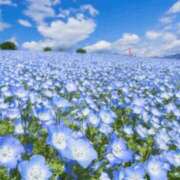 ヒメ日記 2025/05/04 10:22 投稿 こころ ファーストレディ(博多)