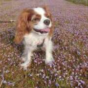 ヒメ日記 2025/04/29 22:48 投稿 かおり One More 奥様　池袋店