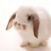 ヒメ日記 2025/05/05 18:38 投稿 かおり One More 奥様　池袋店