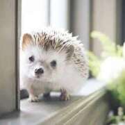 ヒメ日記 2025/05/14 18:28 投稿 かおり One More 奥様　池袋店