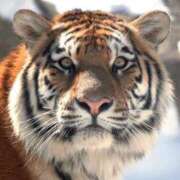 ヒメ日記 2025/05/29 17:08 投稿 かおり One More 奥様　池袋店