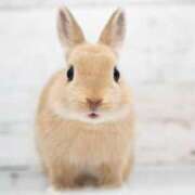 ヒメ日記 2025/06/01 11:58 投稿 かおり One More 奥様　池袋店