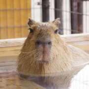 ヒメ日記 2025/06/01 17:23 投稿 かおり One More 奥様　池袋店