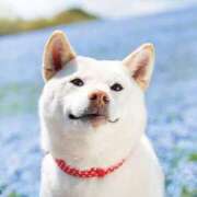 ヒメ日記 2025/06/01 21:08 投稿 かおり One More 奥様　池袋店