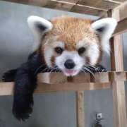 ヒメ日記 2025/06/02 12:48 投稿 かおり One More 奥様　池袋店