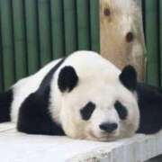 ヒメ日記 2025/06/11 19:30 投稿 かおり One More 奥様　池袋店