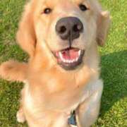 ヒメ日記 2025/06/13 16:58 投稿 かおり One More 奥様　池袋店