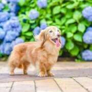 ヒメ日記 2025/06/13 20:28 投稿 かおり One More 奥様　池袋店