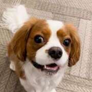 ヒメ日記 2025/06/23 20:58 投稿 かおり One More 奥様　池袋店