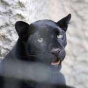 ヒメ日記 2025/06/25 19:38 投稿 かおり One More 奥様　池袋店