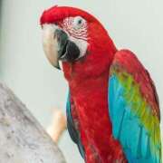 ヒメ日記 2025/06/28 20:18 投稿 かおり One More 奥様　池袋店